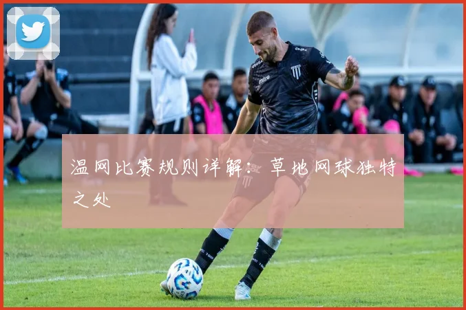 温网比赛规则详解:草地网球独特之处