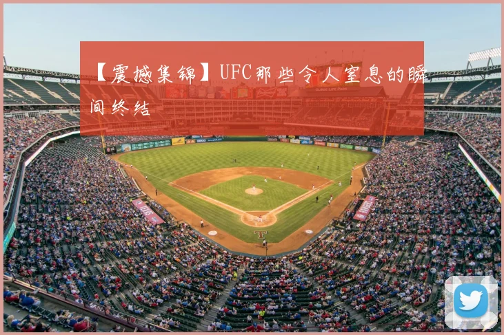 【震撼集锦】UFC那些令人窒息的瞬间终结