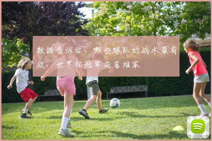 数据告诉你，哪些球队的战术最有效，世界杯冠军花落谁家