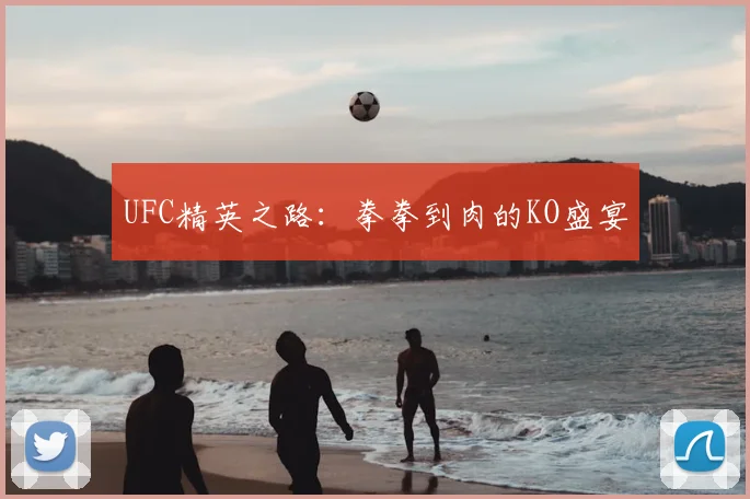 UFC精英之路：拳拳到肉的KO盛宴