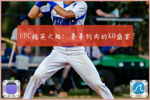 UFC精英之路:拳拳到肉的KO盛宴