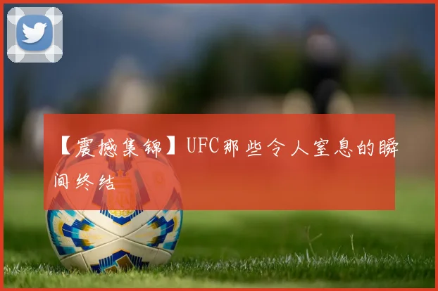 【震撼集锦】UFC那些令人窒息的瞬间终结