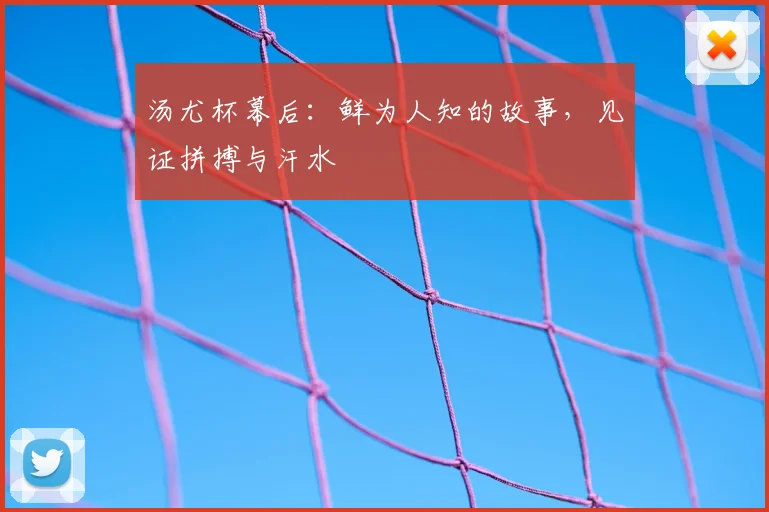 汤尤杯幕后:鲜为人知的故事,见证拼搏与汗水