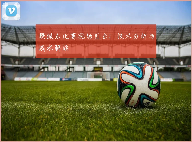 樊振东比赛现场直击:技术分析与战术解读
