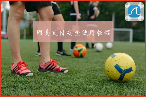 网易支付安全使用教程